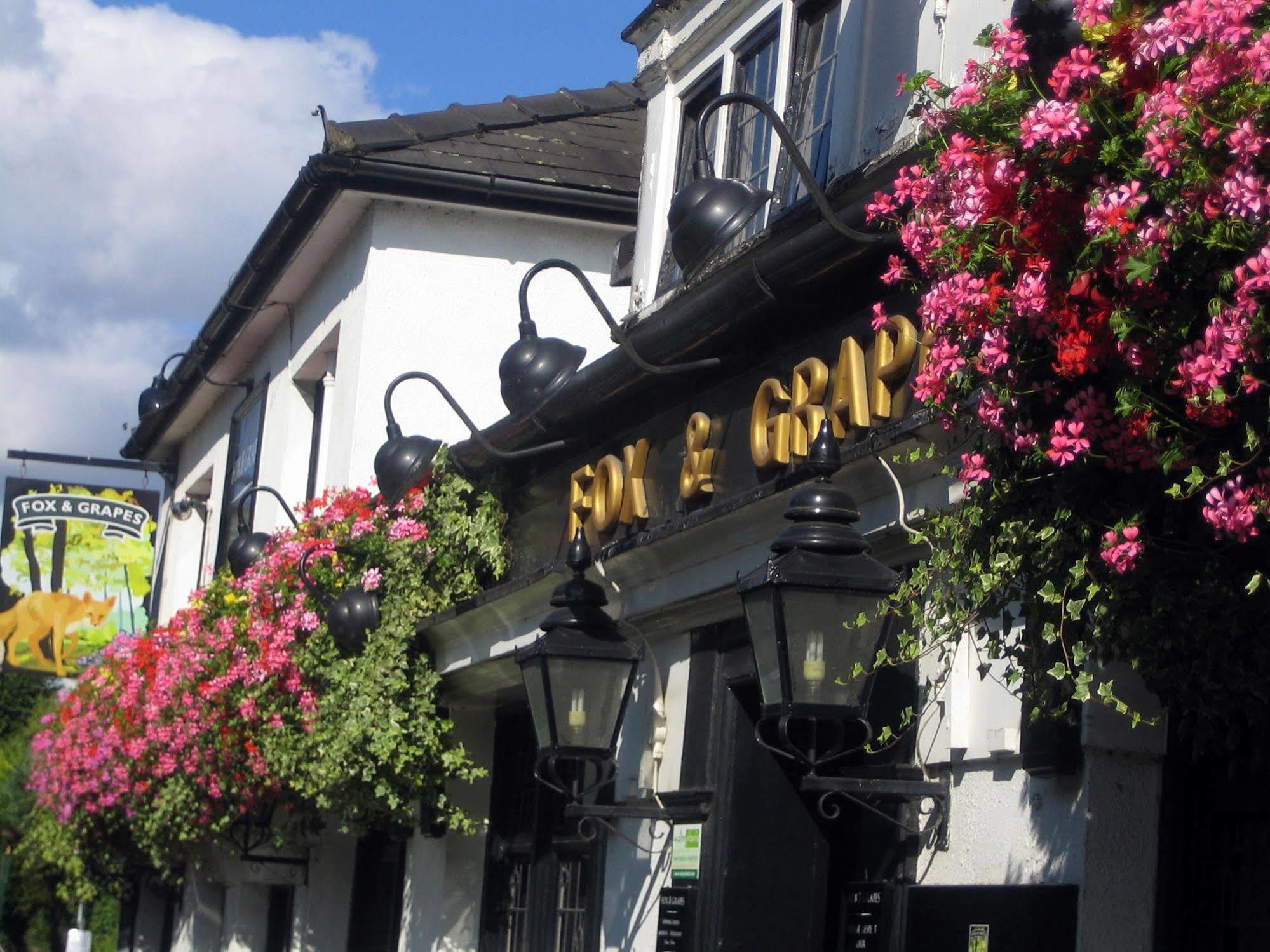 Fox And Grapes Hotel London Exterior photo